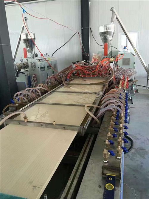 新型竹木纤维墙板生产线厂家直供 威尔塑料机械